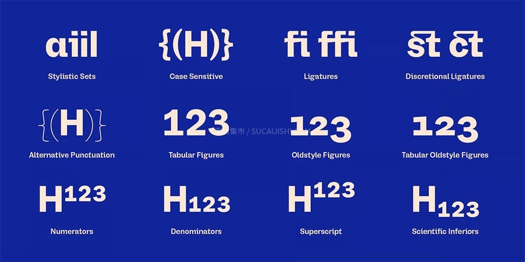 Saes Grotesk ������ѧ�޳�������