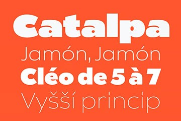 Catalpa 荣获国际大奖的可变字体家族