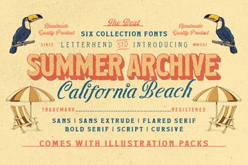 Summer Archive复古夏日典藏字体系列