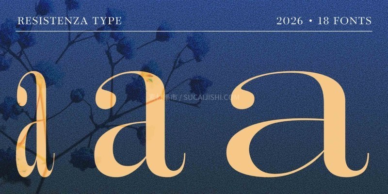 Effimera高对比度现代衬线可变字体家族