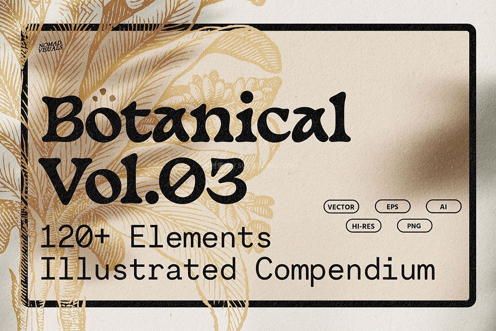 126幅复古植物铜版矢量插画 AI PNG格式