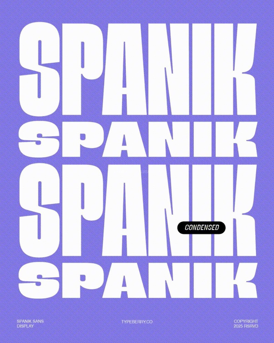 Spanik 现代超级排版工程级可变字体家族