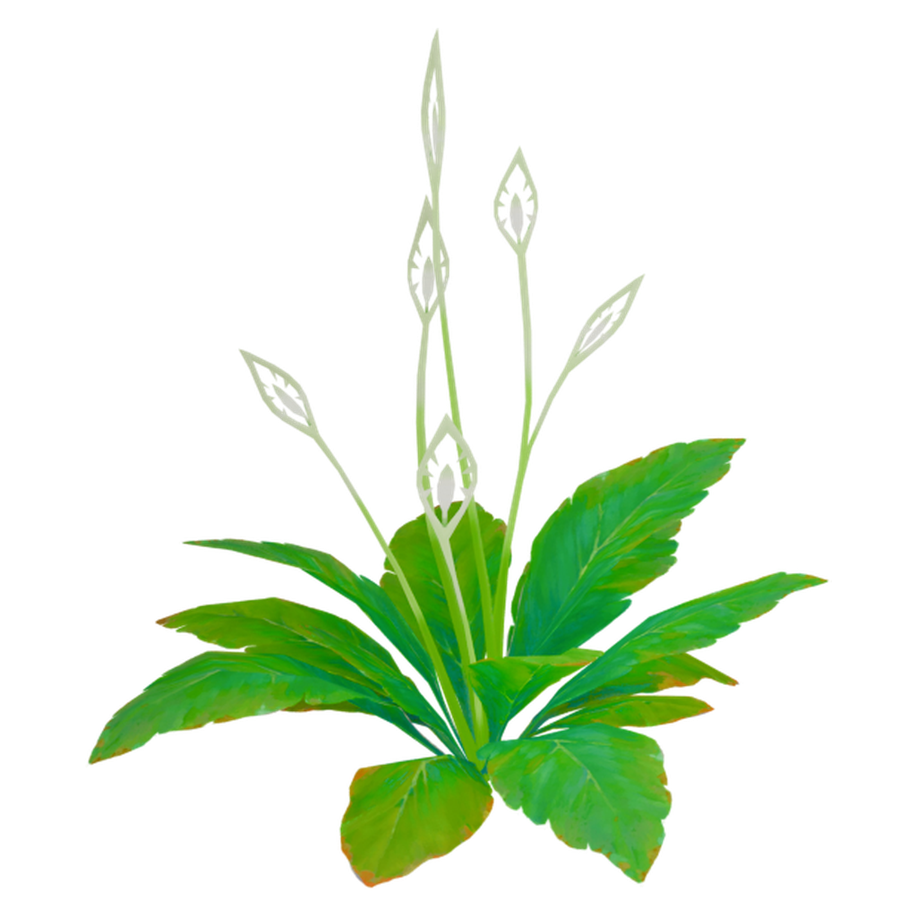 花水绿叶植株 · 微俯仰特征视角