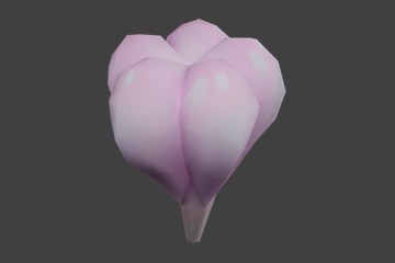 紫粉心形果实