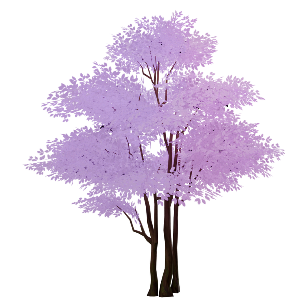 初绽紫花树 · 正立面 / 侧面平视