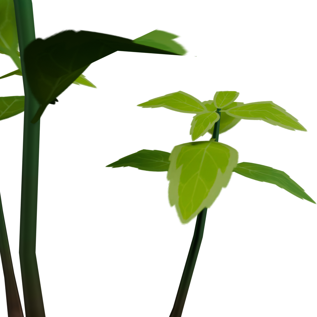 薄荷枝 · 局部特写