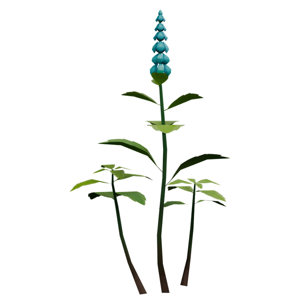 薄荷枝 · 正立面 / 侧面平视