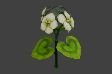 白花清心枝
