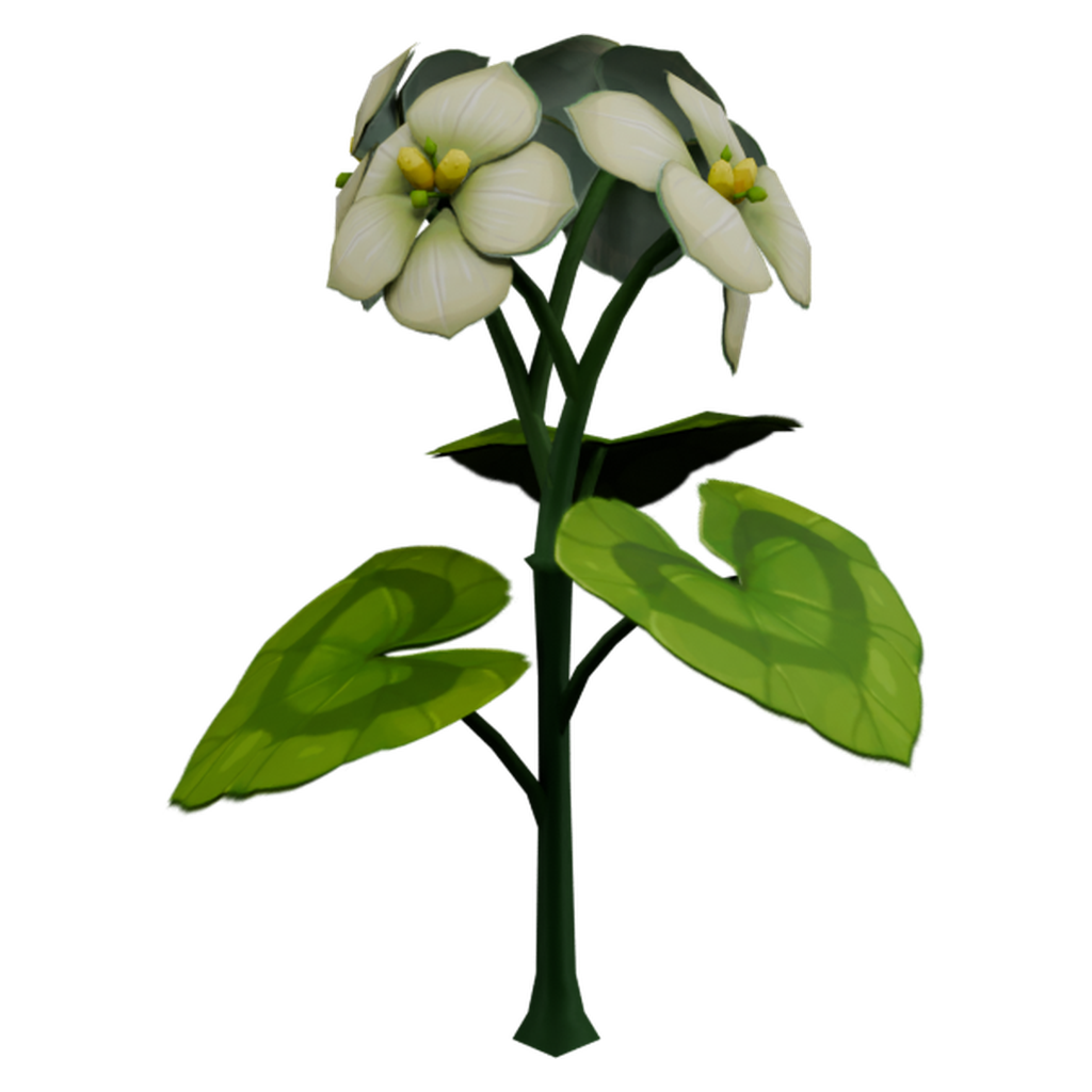 白花清心枝 · 微俯仰特征视角