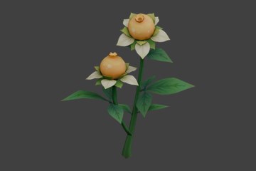 白瓣甜甜花