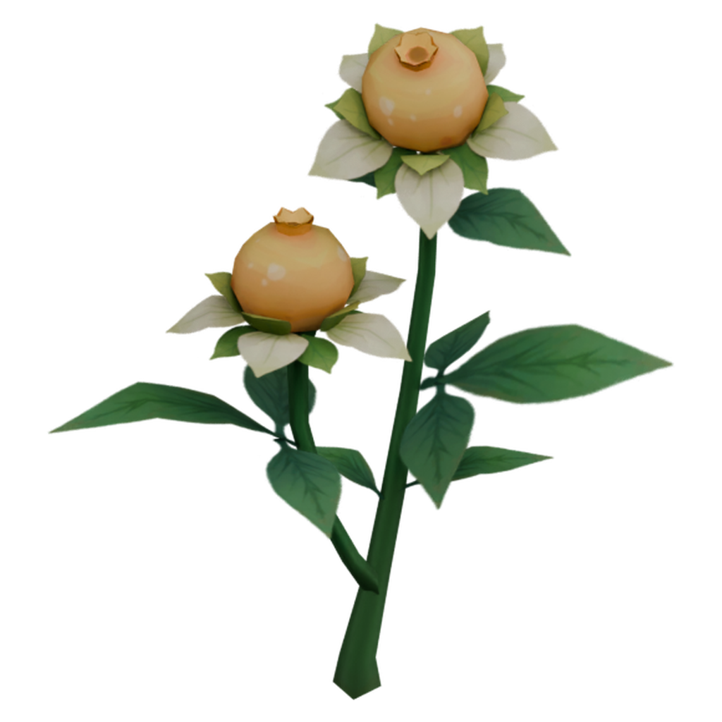 白瓣甜甜花