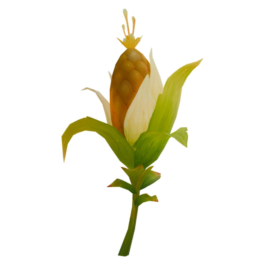 玉米植株 · 正立面 / 侧面平视