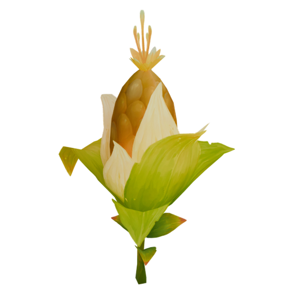 玉米植株