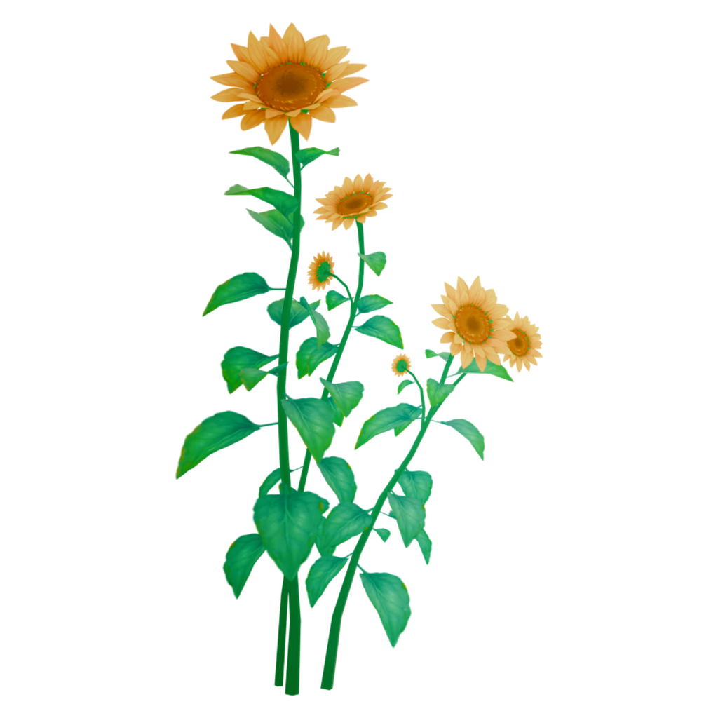 向日葵花丛 · 正立面 / 侧面平视