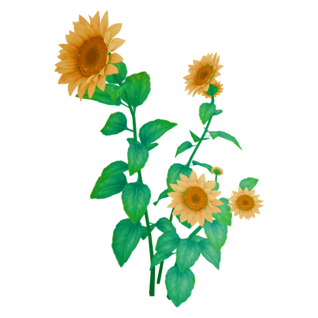 向日葵花丛