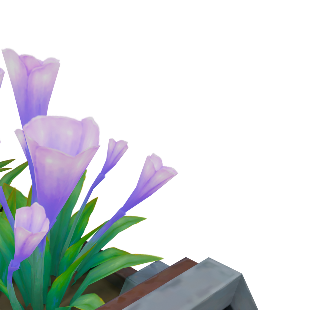 紫花长槽盆栽 · 局部特写