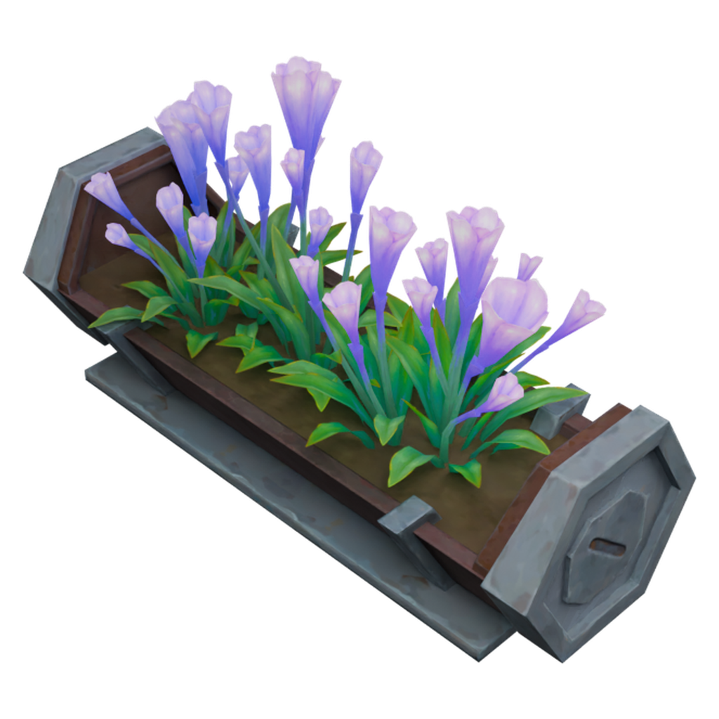 紫花长槽盆栽