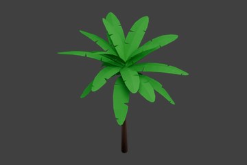 绿色宽叶棕榈造型树木
