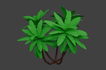 绿色丛生棕榈造型树木