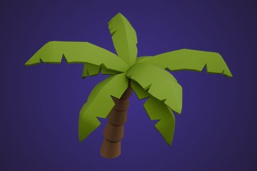 弯干棕榈树