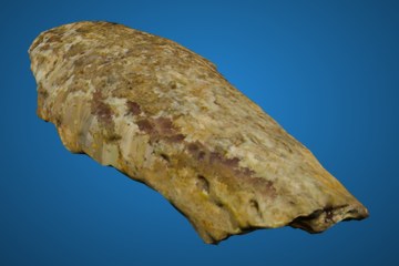 黄褐斑纹岩片