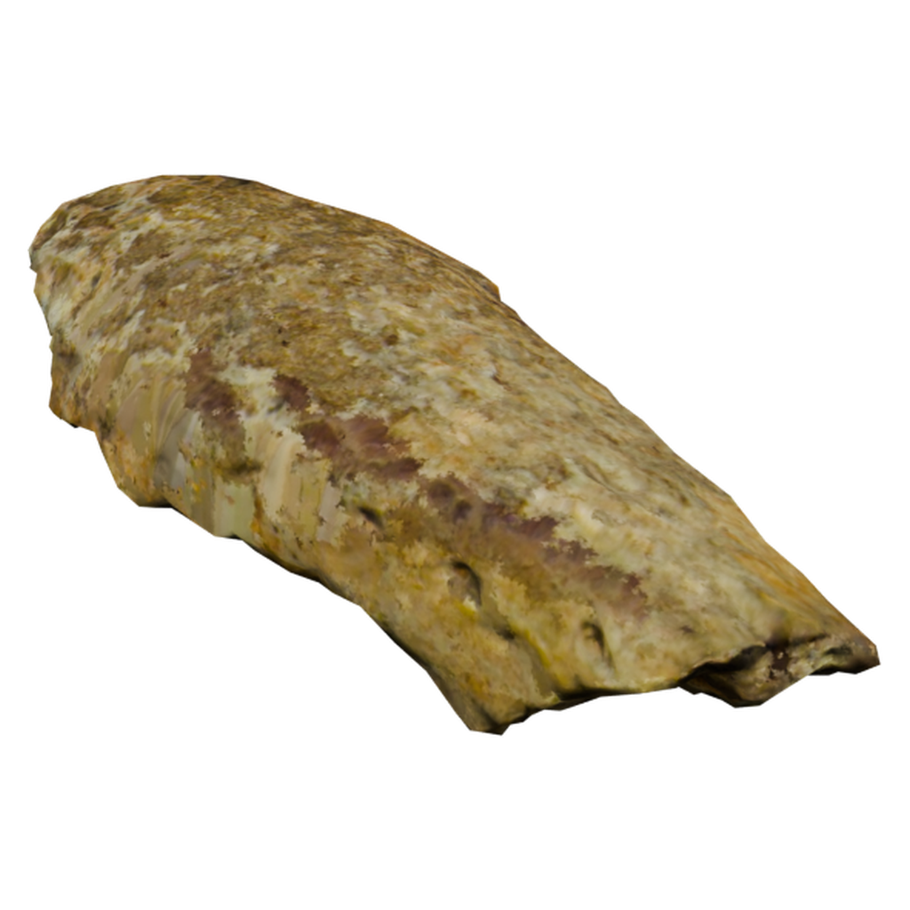 黄褐斑纹岩片