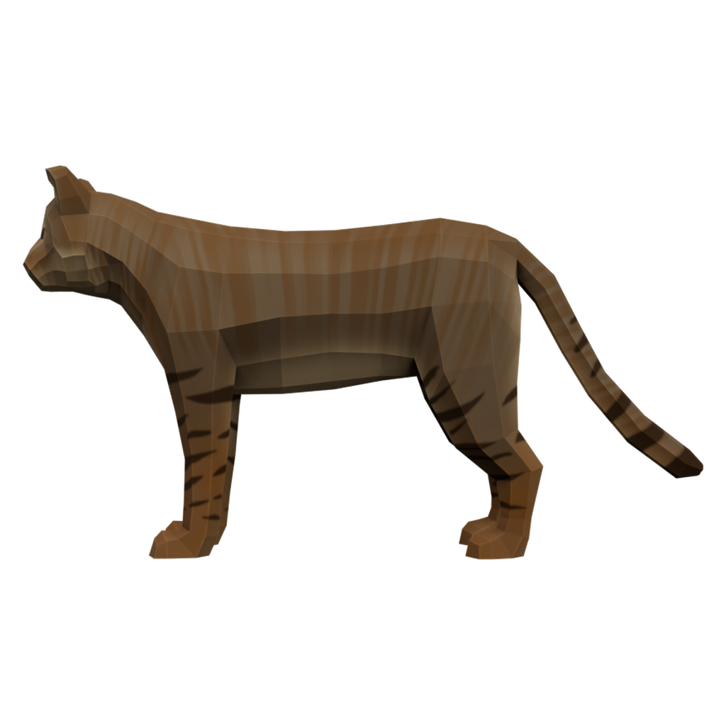 阿拉伯野猫 · 正立面 / 侧面平视