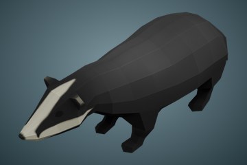 獾