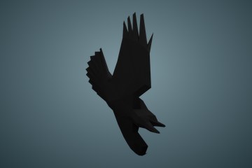 鸟