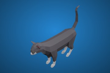 猫