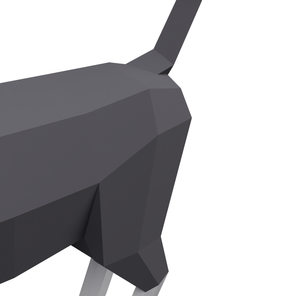 猫 · 局部特写