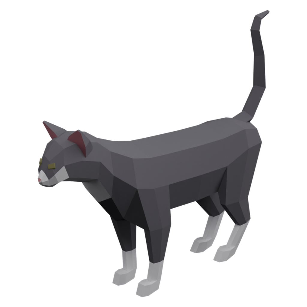 猫 · 微俯仰特征视角