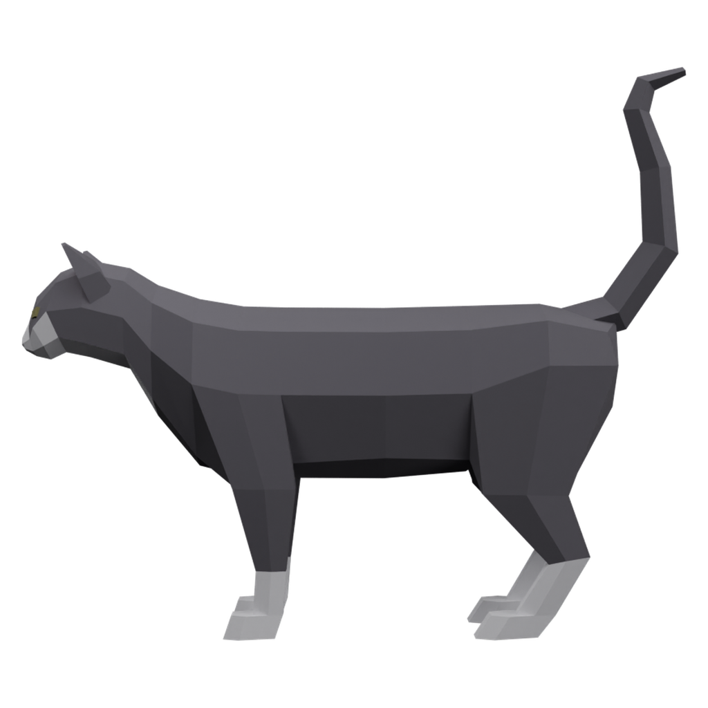 猫 · 正立面 / 侧面平视