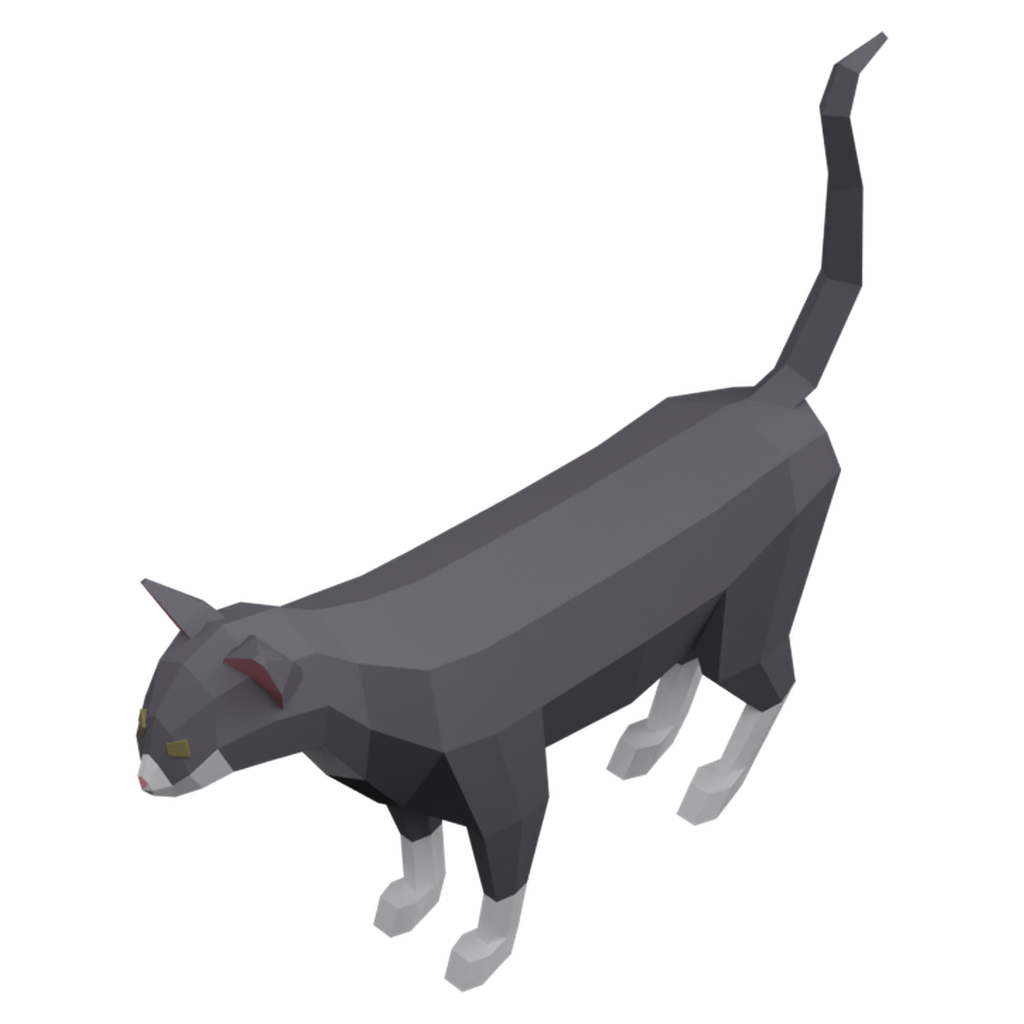 猫