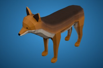 郊狼