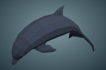 海豚