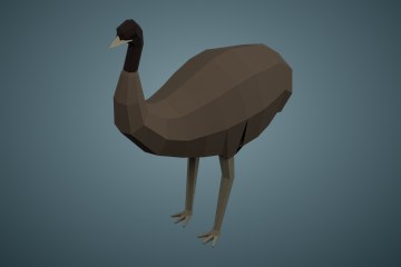 鸸鹋