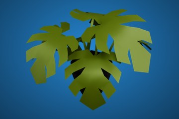 裂叶绿植