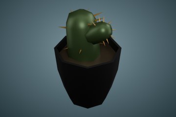 仙人掌盆栽