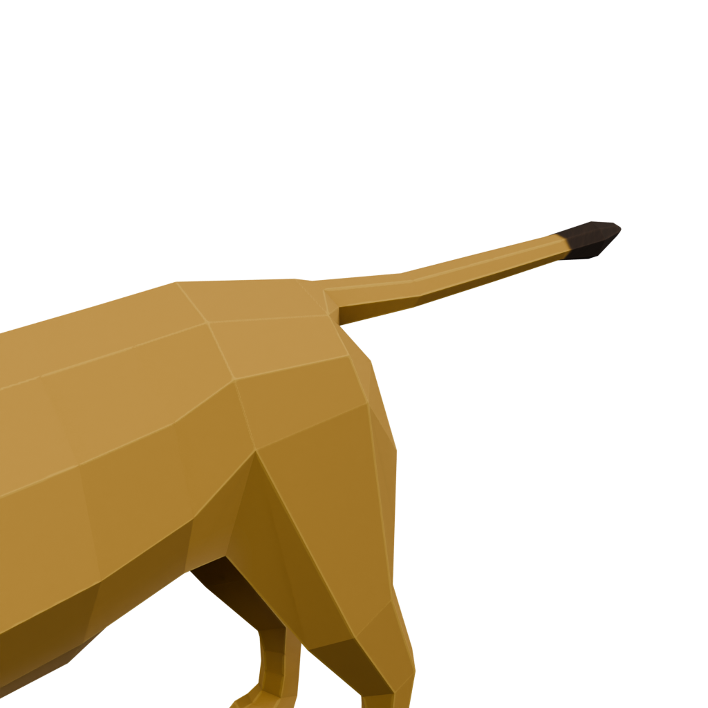 狮子 · 局部特写