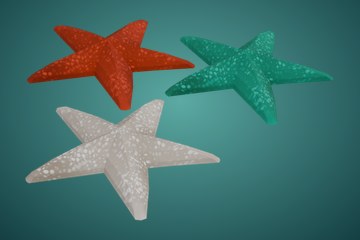 海星
