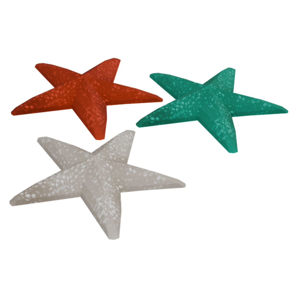 海星