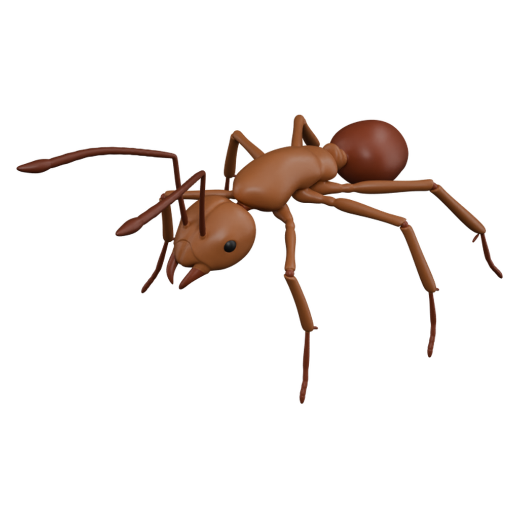 蚂蚁