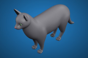 猫