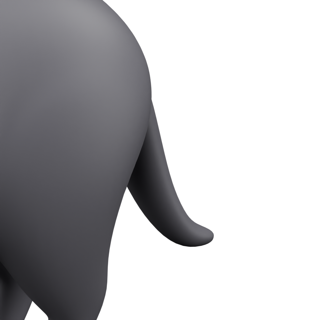 猫 · 局部特写