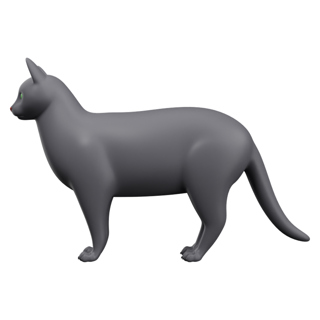 猫 · 正立面 / 侧面平视