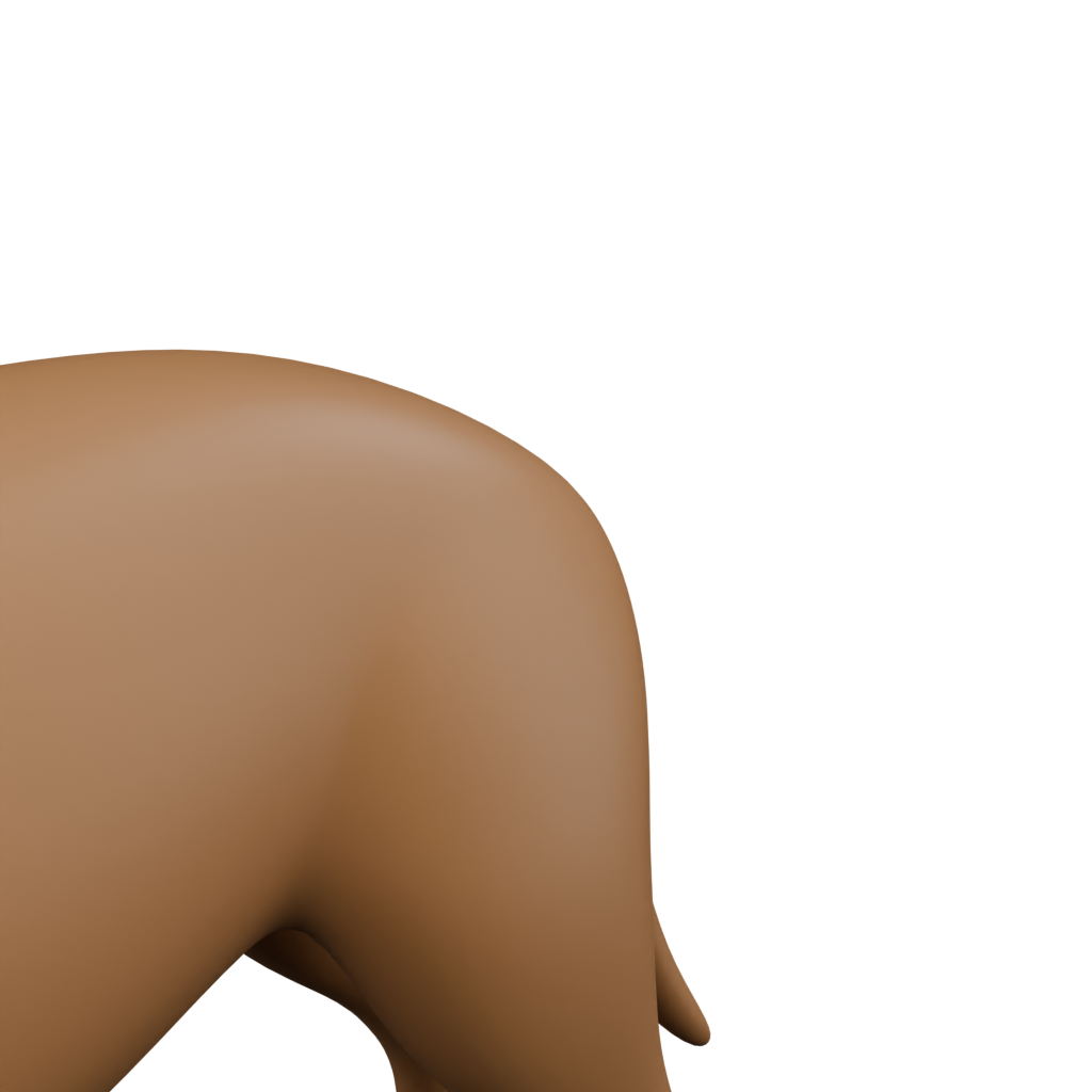 狗 · 局部特写