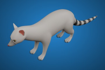 麝猫