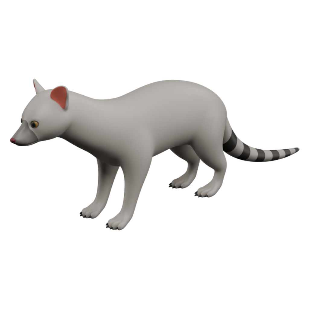 麝猫 · 微俯仰特征视角