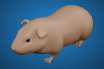 豚鼠